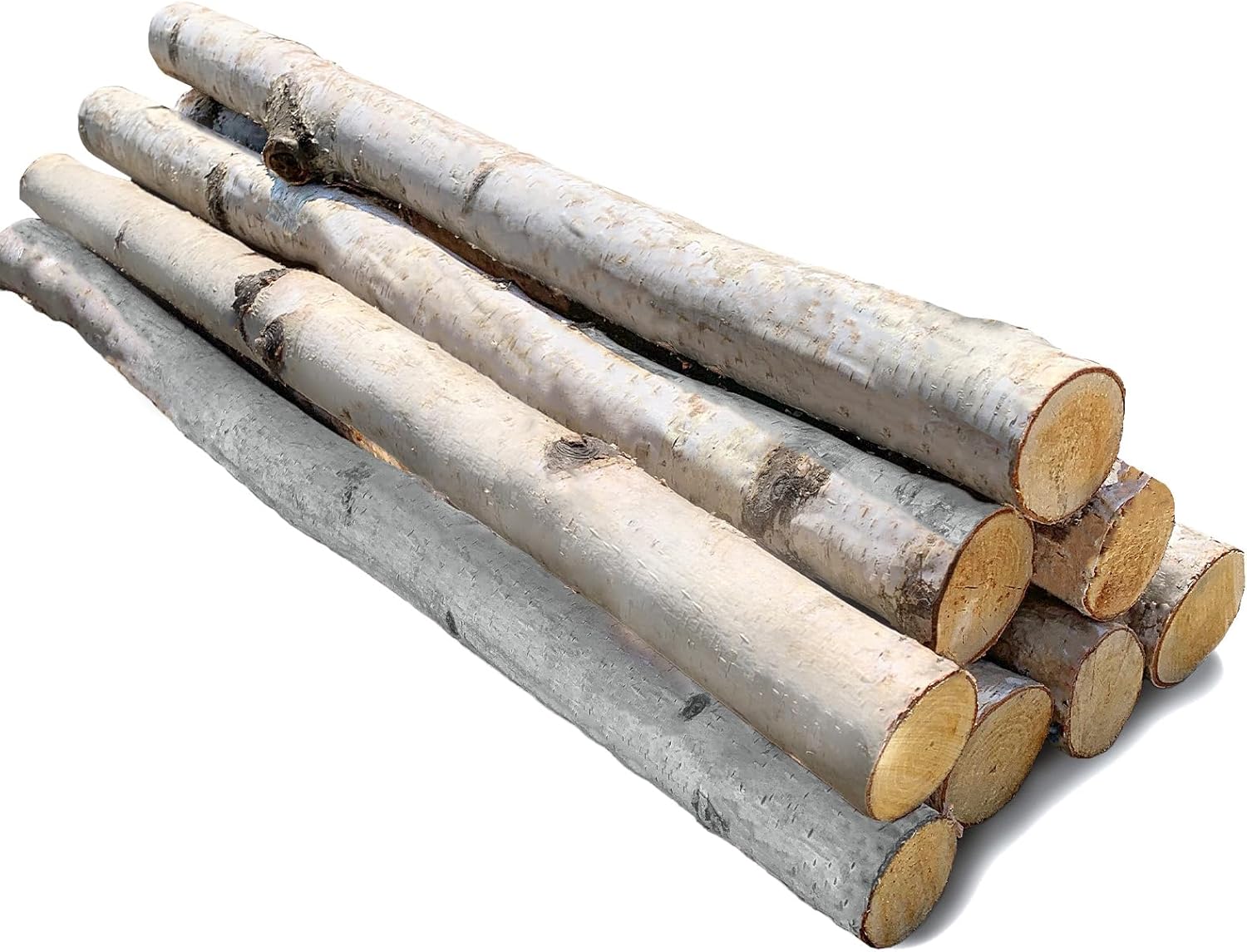Wilson Decorative White Birch Extra Long Large Bundle, Natural Bark Wood Log Home Décor - 23"- 24" in Length 1.5"-3" Dia. (Set of 8)