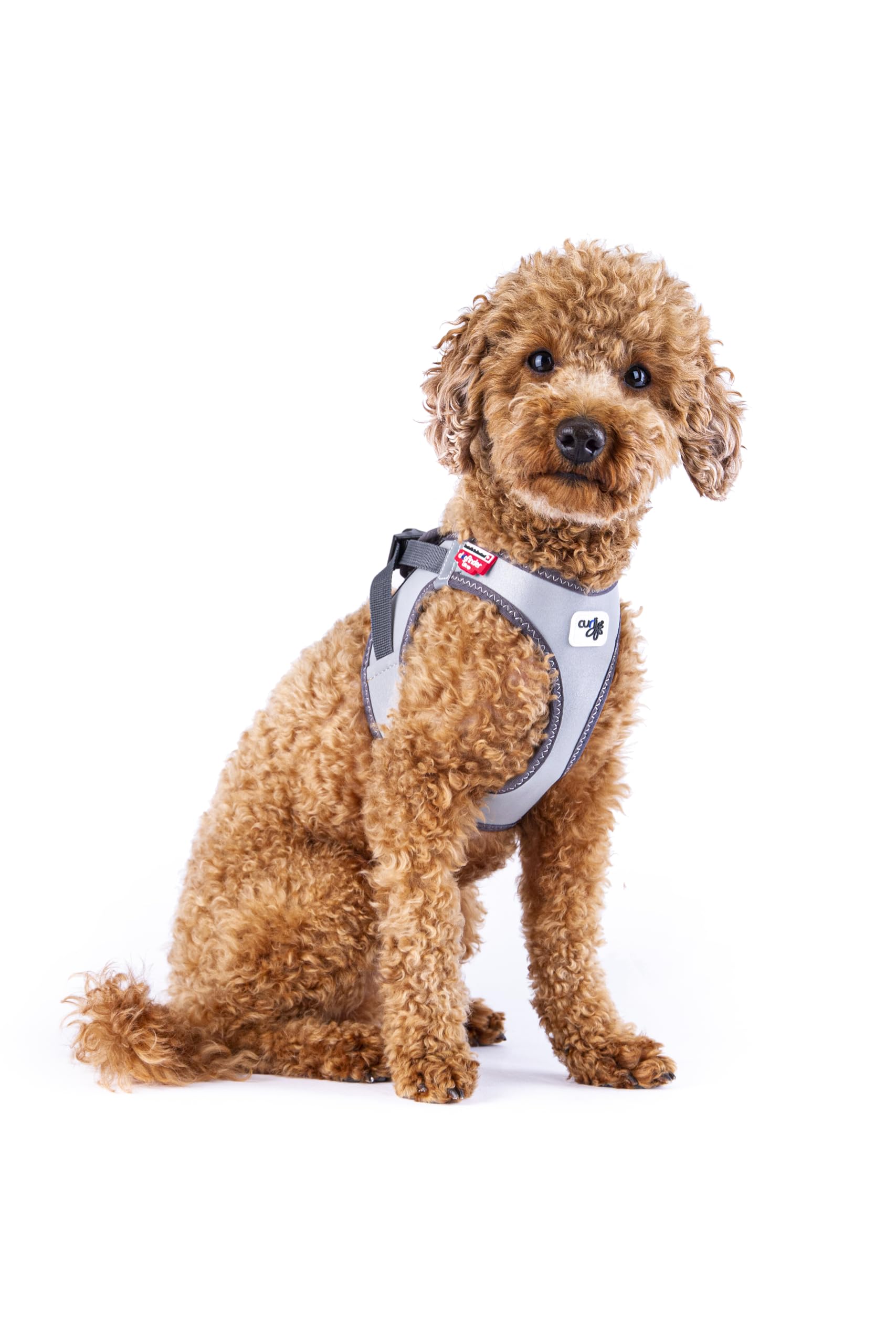Glow curli Clasp Vest Harness Reflective Gray XS
