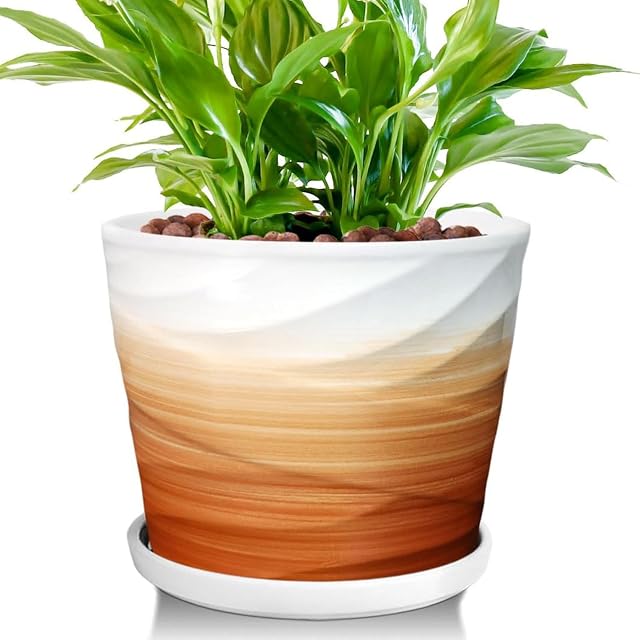 8 Planter de pouce, Planters en céramique pour les plantes intérieures/extérieures avec drainage et soucoupe, grands pots de plantes, plante ronde Interieur(Khai) + Blanc, planteur seulement)