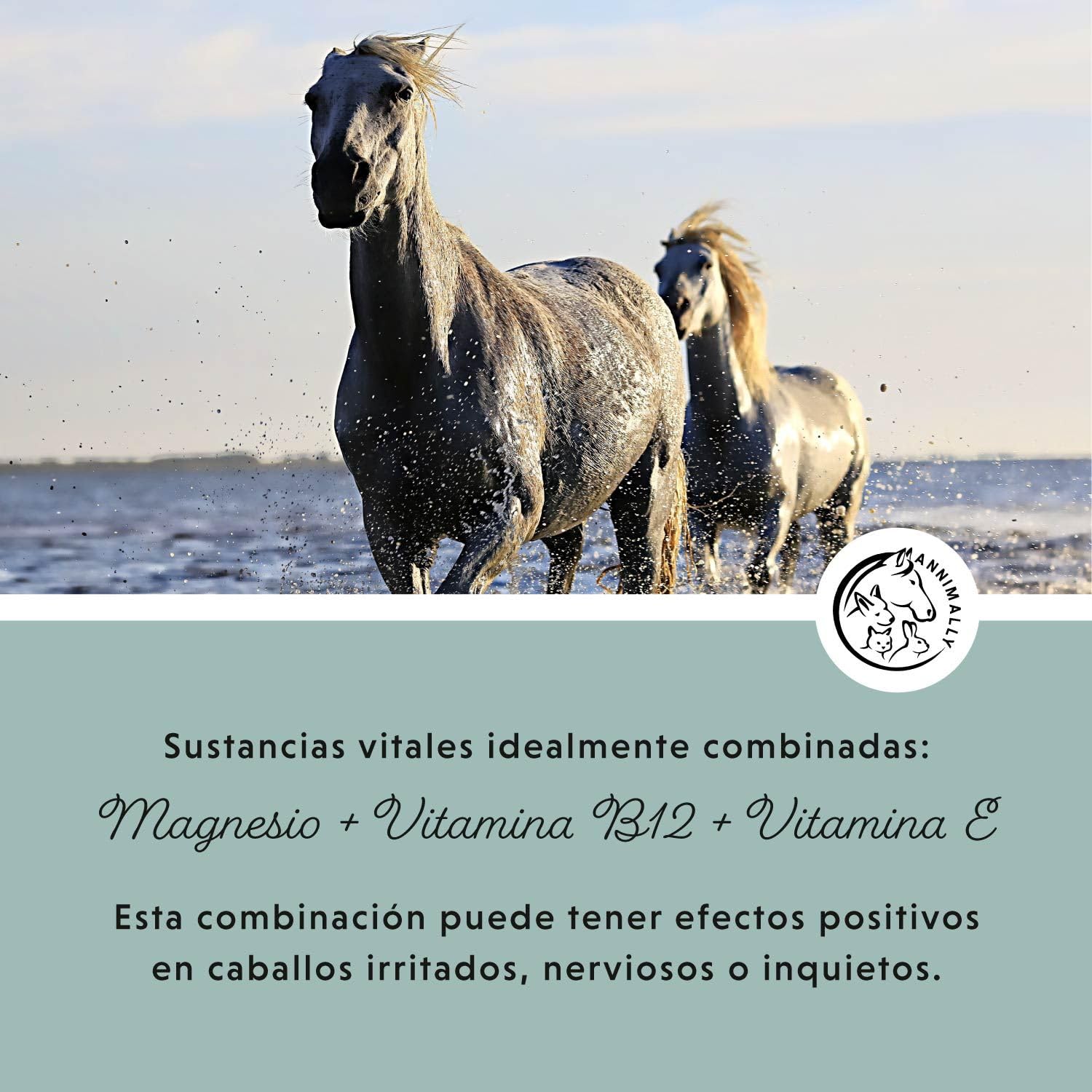 Annimally Pellets de Magnesio para Caballos 1 kg - Acetato de Magnesio y Óxido de Magnesio para una máxima biodisponibilidad