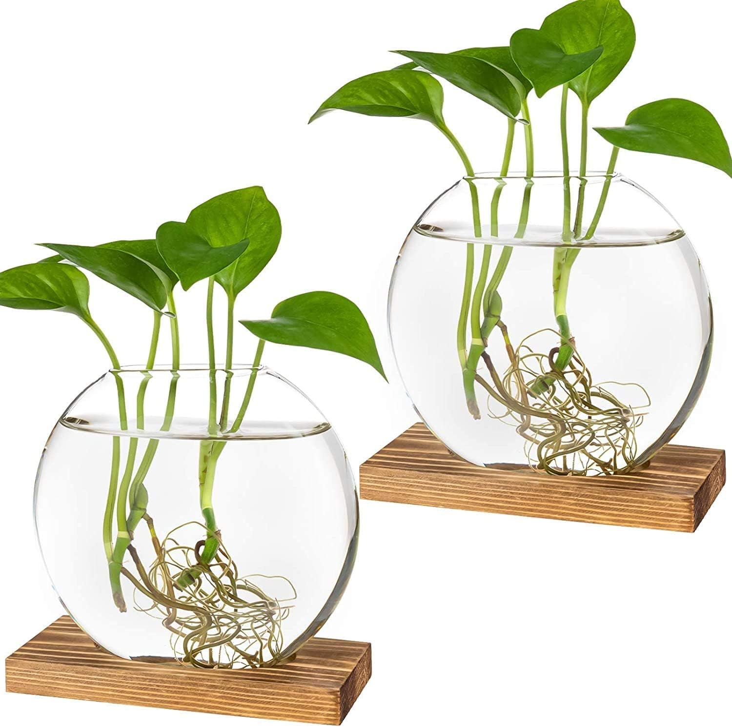Kingbuy Desktop Glass Planter with Retro Wooden Stand Plant Terrarium for Indoor Office Decor Accessories — 2 Oblate and 3 Bulb Vases