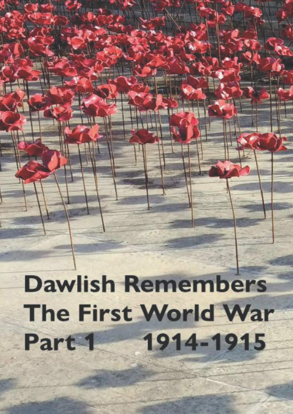 Dawlish Remembers The First World War Part 1: 1914-1915