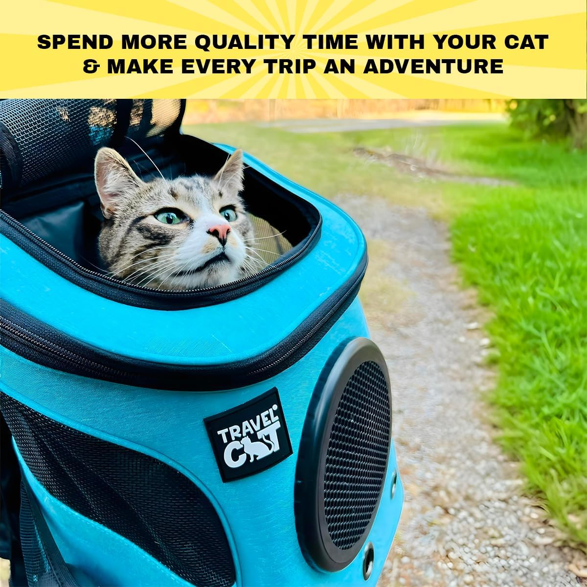 Travel in Style: The Ultimate Review of the Fat Cat Backpack Carrier for Adventurous Cats!