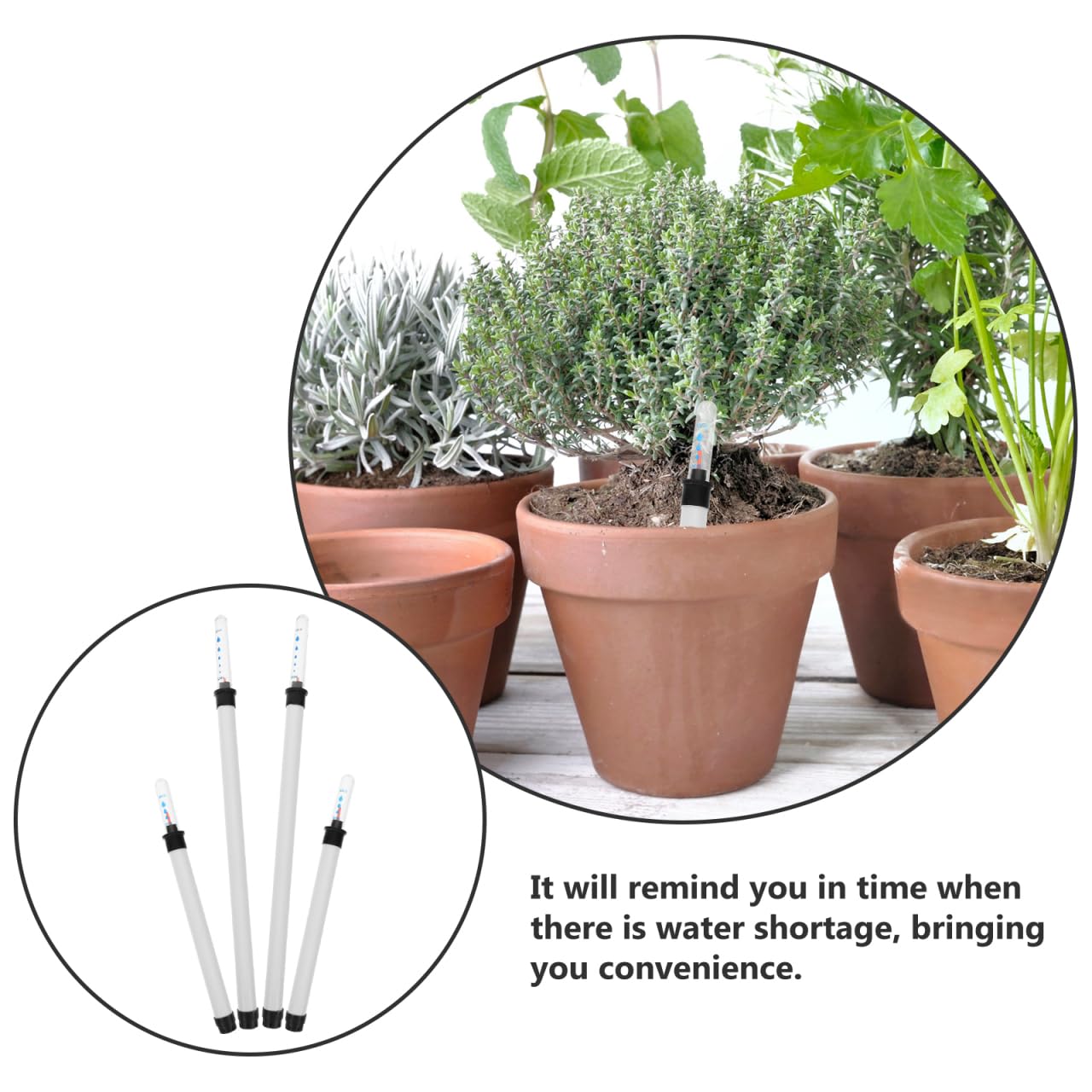 Yardwe 8 StCk Wasserstandsanzeiger Pflanzen 30 cm Und 18 cm, Kunststoff  GieAnzeiger FR Zimmerpflanzen Und Garten : Amazon.de: Garten