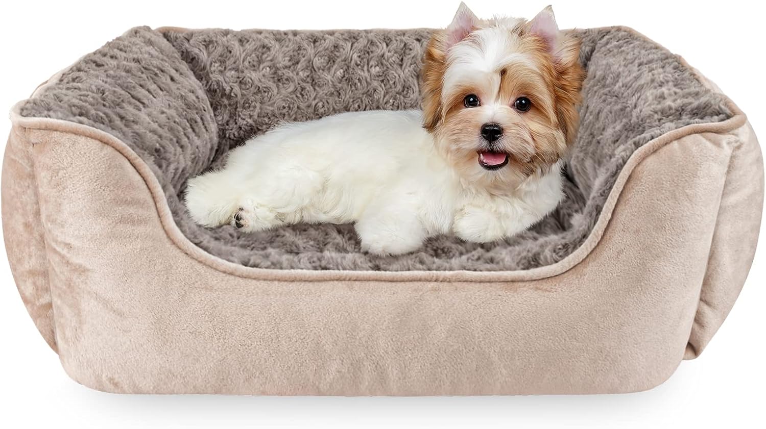 JOEJOY Rectangle Dog Bed for Large Medium Small Dogs Machine Washable Sleeping Dog Sofa Bed Non-Slip Bottom Breathable Soft Puppy Bed Durable Orthopedic Calming Pet Cuddler, Multiple Size, Beige : Pet Supplies