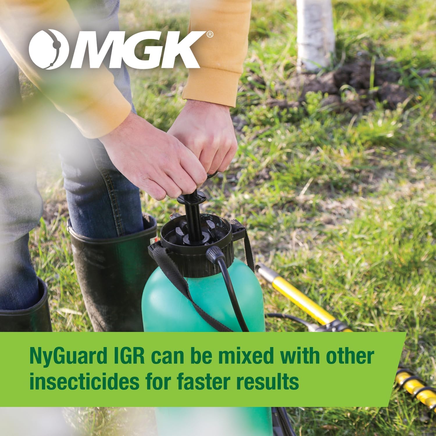 MGK NyGuard® IGR Concentrate | Cockroach, Flea, Ant, Fly and Mosquito Concentrate | Insect Growth Regulator | for Indoor/Outdoor Applications | 140 ML