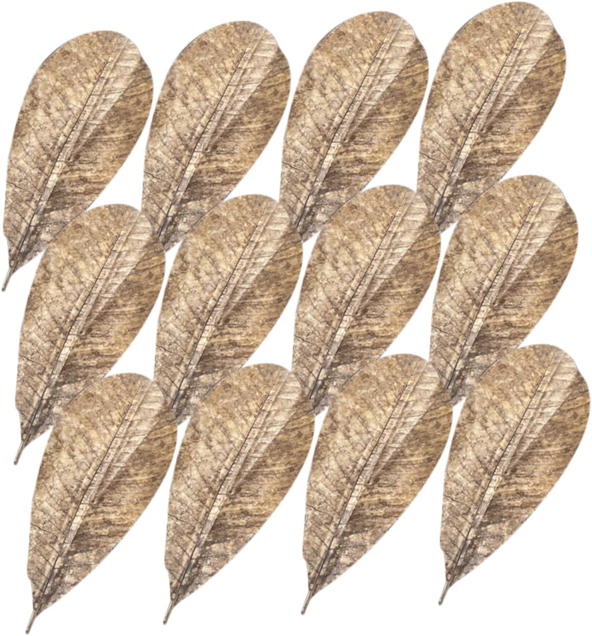 20pcs Alternative Dried Poplar Leaf Pad Sashimi Plate Decor DIY Leaf Decor Sushi Serving Plate Tray
