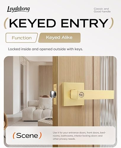 Miniatura 2 de Leydebong Paquete de 6 manijas de puerta de latón satinado, pomos de puerta interiorexterior con cerradura y llave, manijas de puerta de entrada