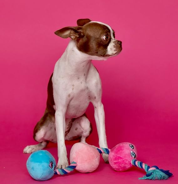 RASCAL Scruffy Tug Buttons - Dog Toy - All Breeds