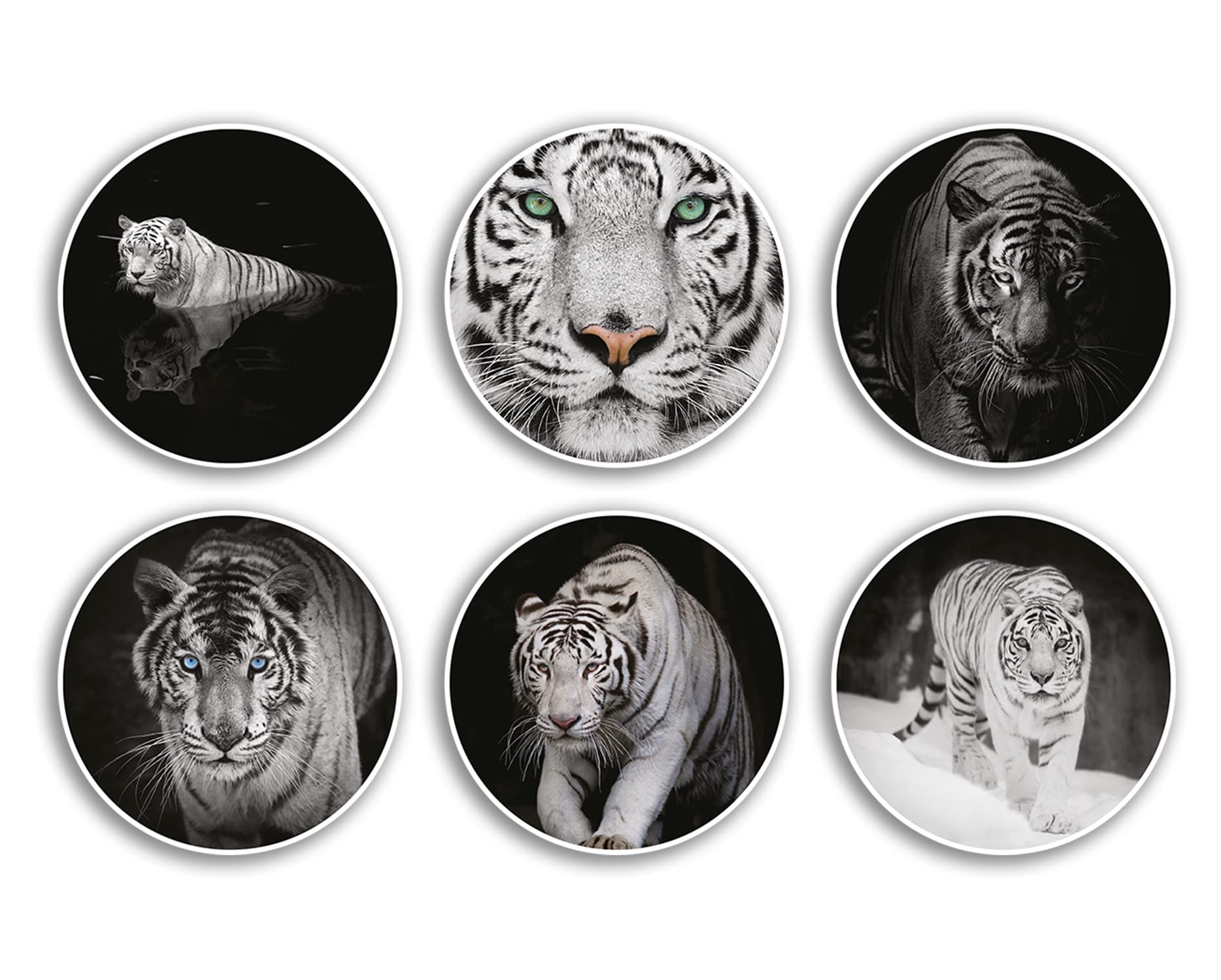 Dv Design Multi 6 X 10Cm White Tiger Vinyl Stickers - Animal Wild Pattern Print Nature Face Eyes Winter Snow Safari Zoo Scrapbooking Gift #78981