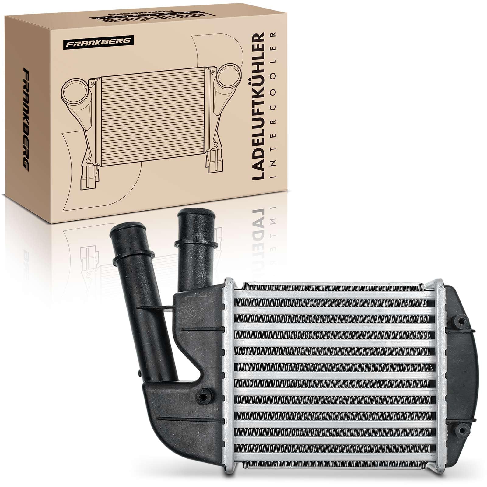 Frankberg Intercooler Compatibile con 169 1.3 D MultiJet Furgone/Compatto 169 1.3 D MultiJet 4x4 169 1.3 JTD MultiJet 4x4 Furgone/Compatto 169 1.3 D MultiJet 169 1.3 D MultiJet 4x4 96673,46823259