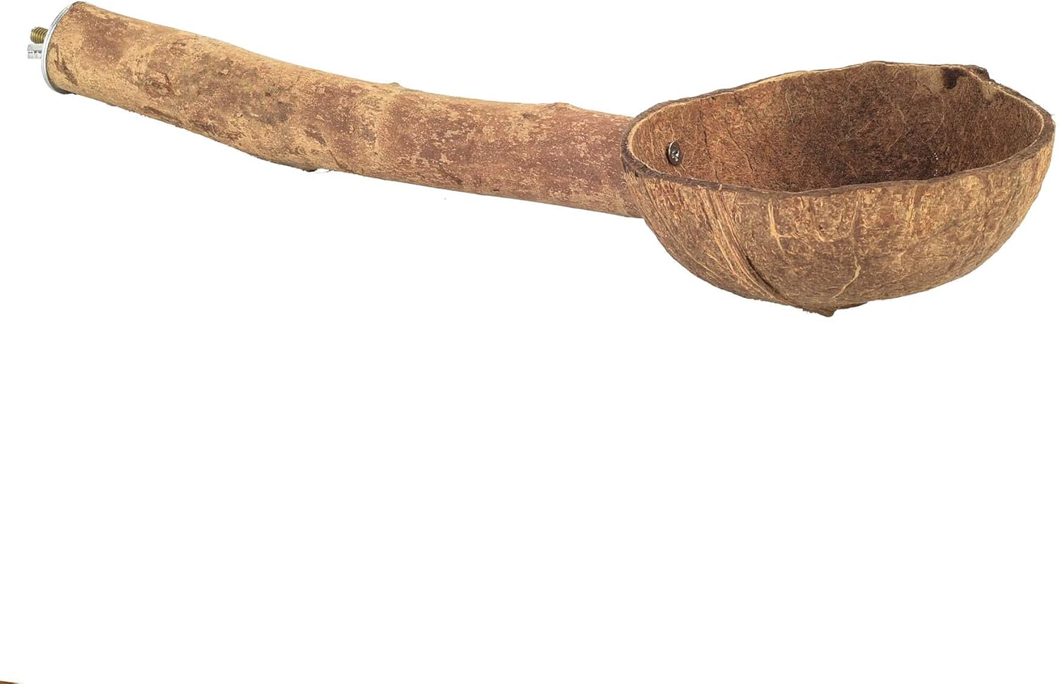 Parrot Essentials Natural Wood Perch with Coconut Feeding Cup 35cm (13.7"), African Grey, Amazon, Cockatoo