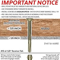 Vista 4 de Tornillos autoperforantes Reamer Tek Torx/Cabeza de estrella de madera a metal de 10x1-5/8 - para plataformas, remolques - cabeza de tornillo T-30
