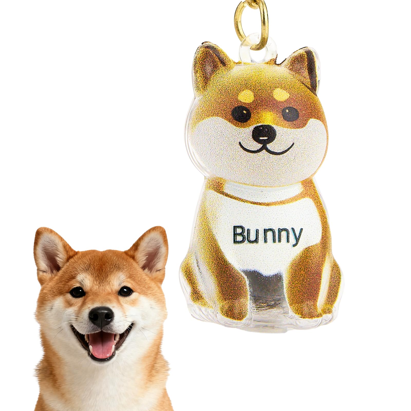 VEELU Dog Hair Collector Keychain Charm Memorial Storage Box - Custom Dog Hair Keychain with Name - Personalised Pet Fur Keepsake - Customised Dog Memorial Gifts for Loss of Dog