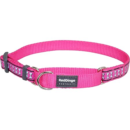 red dingo reflective collar