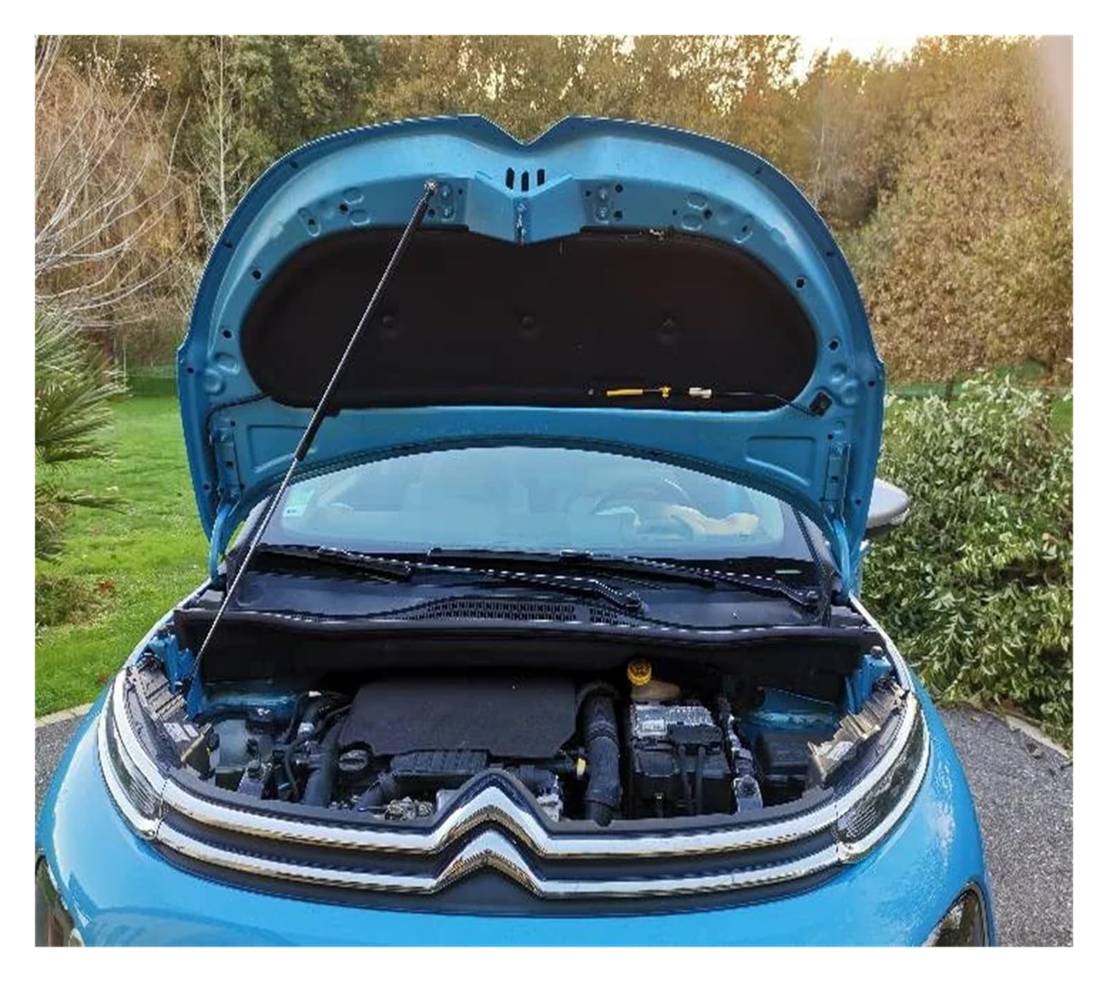 Pistone cofano anteriore Per Citroen Per C3 Per Aircross A88 2017-2024 Ammortizzatore Del Cofano Modificare Supporti Di Sollevamento Aste Puntoni Anteriore(Ordinary Black)
