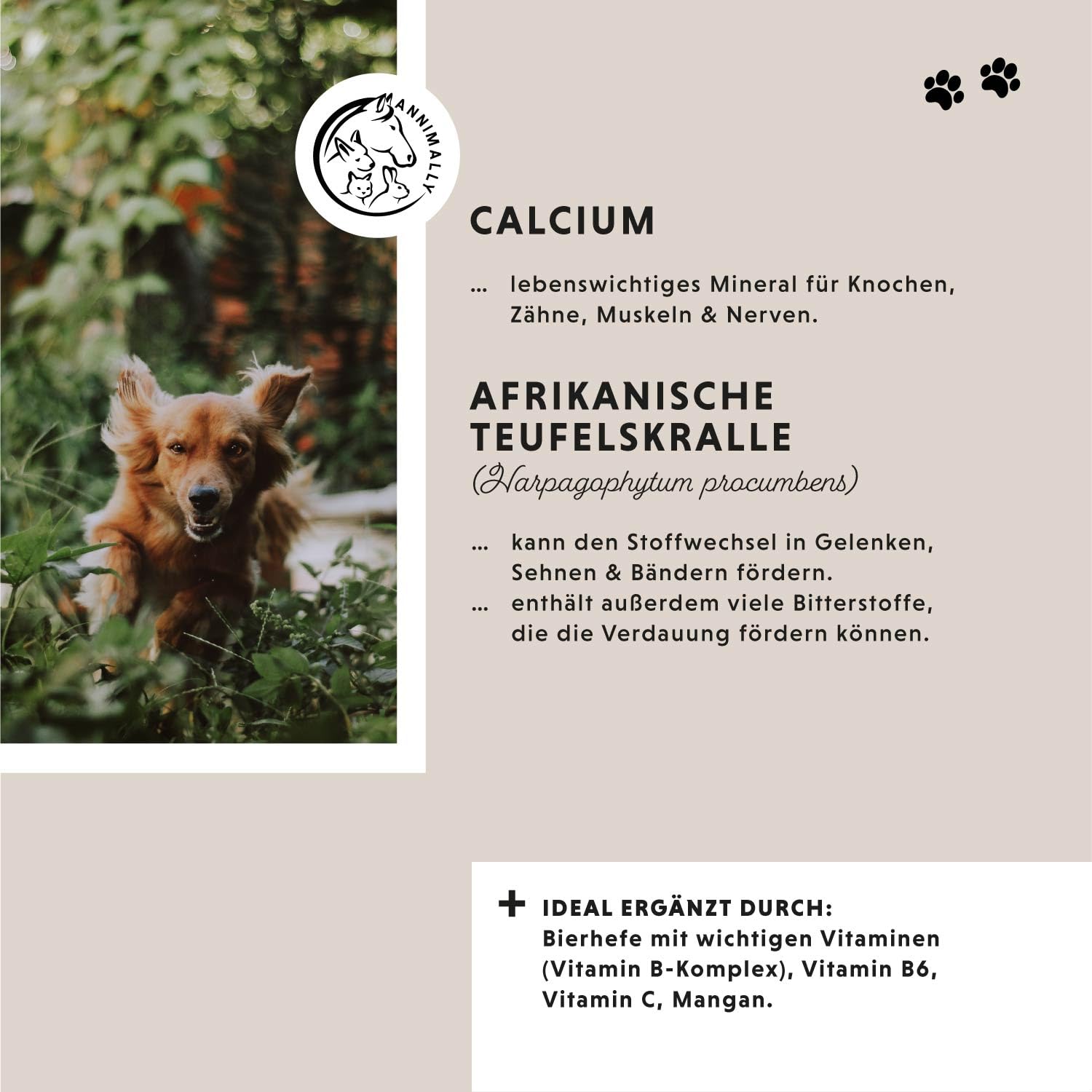 Gelenktabletten für Hunde mit MSM, Grünlippmuschel, Teufelskralle, Glucosamin & Hyaluron - 120 Gelenke Tabletten für Hunde - Hohe Akzeptanz beim Hund durch kleine Tabletten