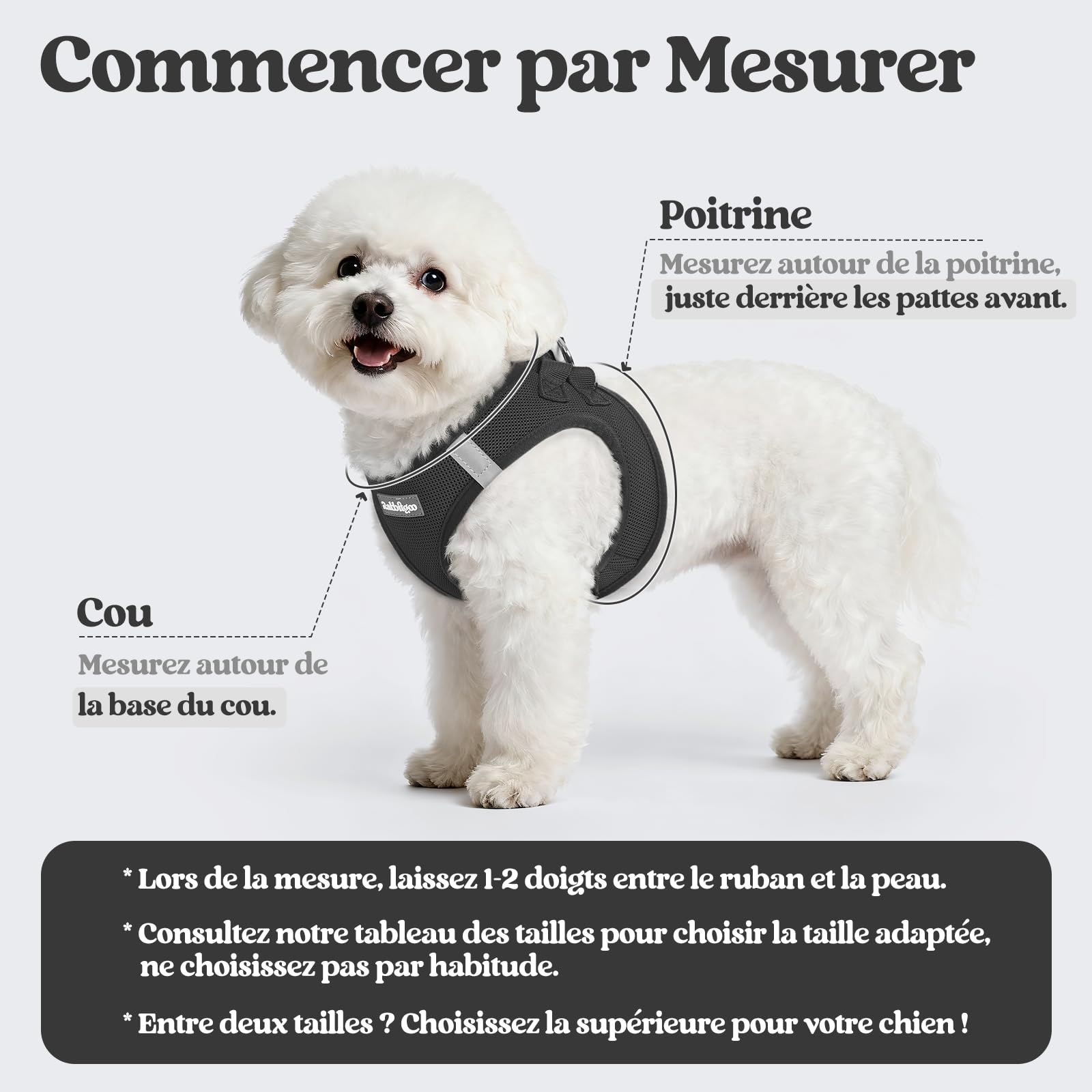 rabbitgoo Harnais Chien Petite Taille avec Laisse Réfléchissant, Harnais Chiot en Maille Souple, Gilet Réglable Facile à Mettre, Arnet pour Chien Petit et Moyen pour Marcher Courir, Noir S