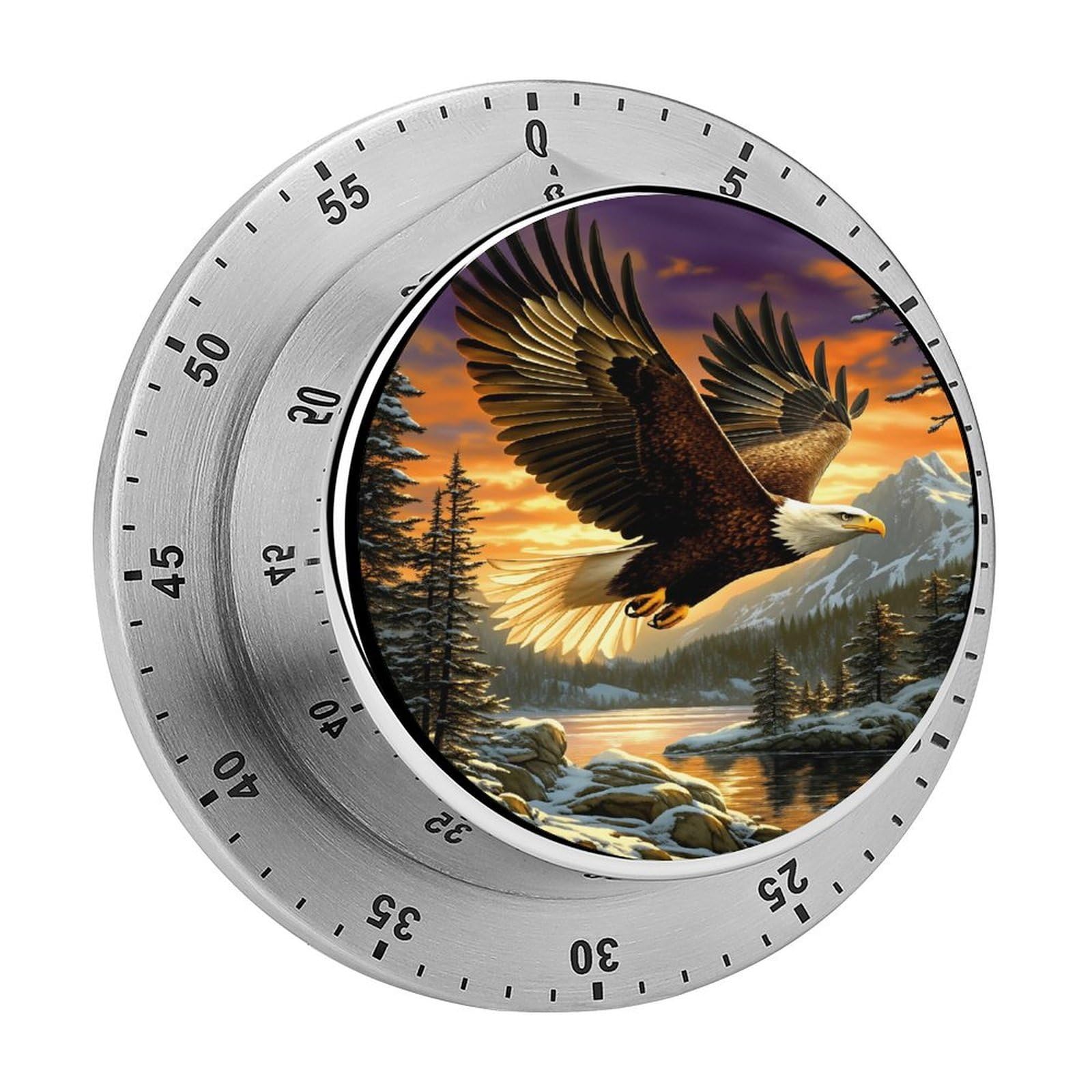 Bald Eagle Winter Mountain Lake Wildlife 60 Minute Wind Up Timer,Visual Mechanical Magnetic Timer with Loud Alarm for Kitchen