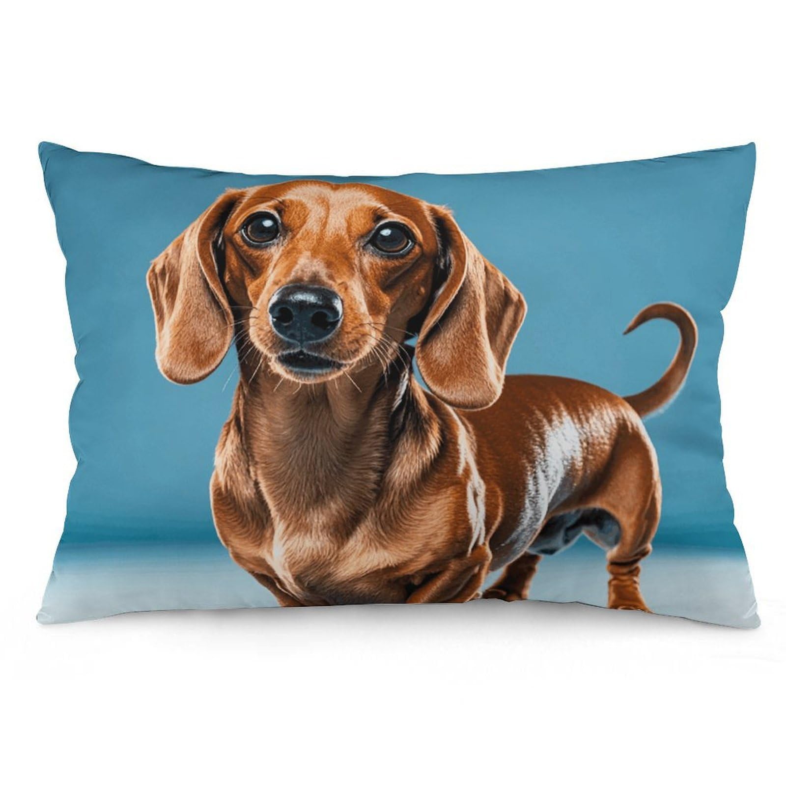 Decorative Throw Pillow Covers 12x20 Short Plush Dachshund Weiner Pet Dog Body Pillowcase Cushion Cases with Invisible Zipper Rectangle Lumbar Pillow Shells for Sofa Couch Chair Bed Home Decor