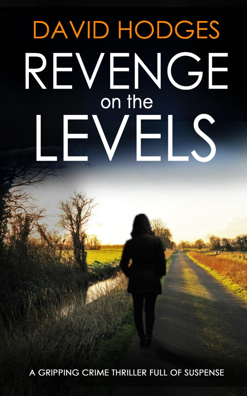 REVENGE ON THE LEVELS a gripping crime thriller full of suspense (Detective Kate Hamblin Mystery)
