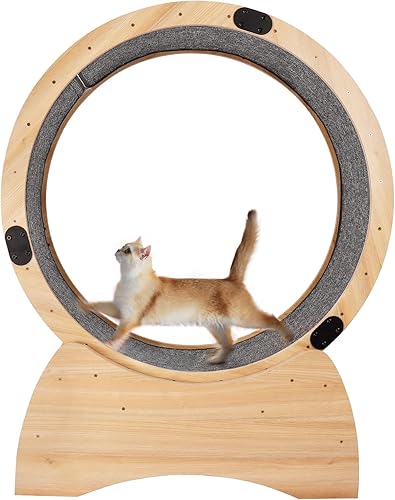 NEOCOZY Rueda de ejercicio para gatos, ejercitadora de rueda para gatos de interior con mecanismo de bloqueo, rueda de gato silenciosa, caminadora