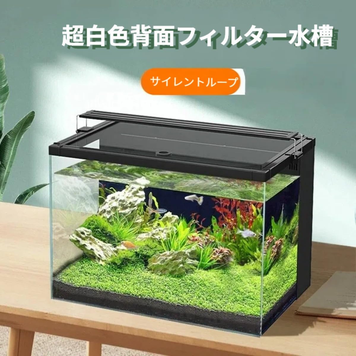 Amazon | 背面ろ過式小型卓上水槽（透明ガラス製）、ご家庭のリビング