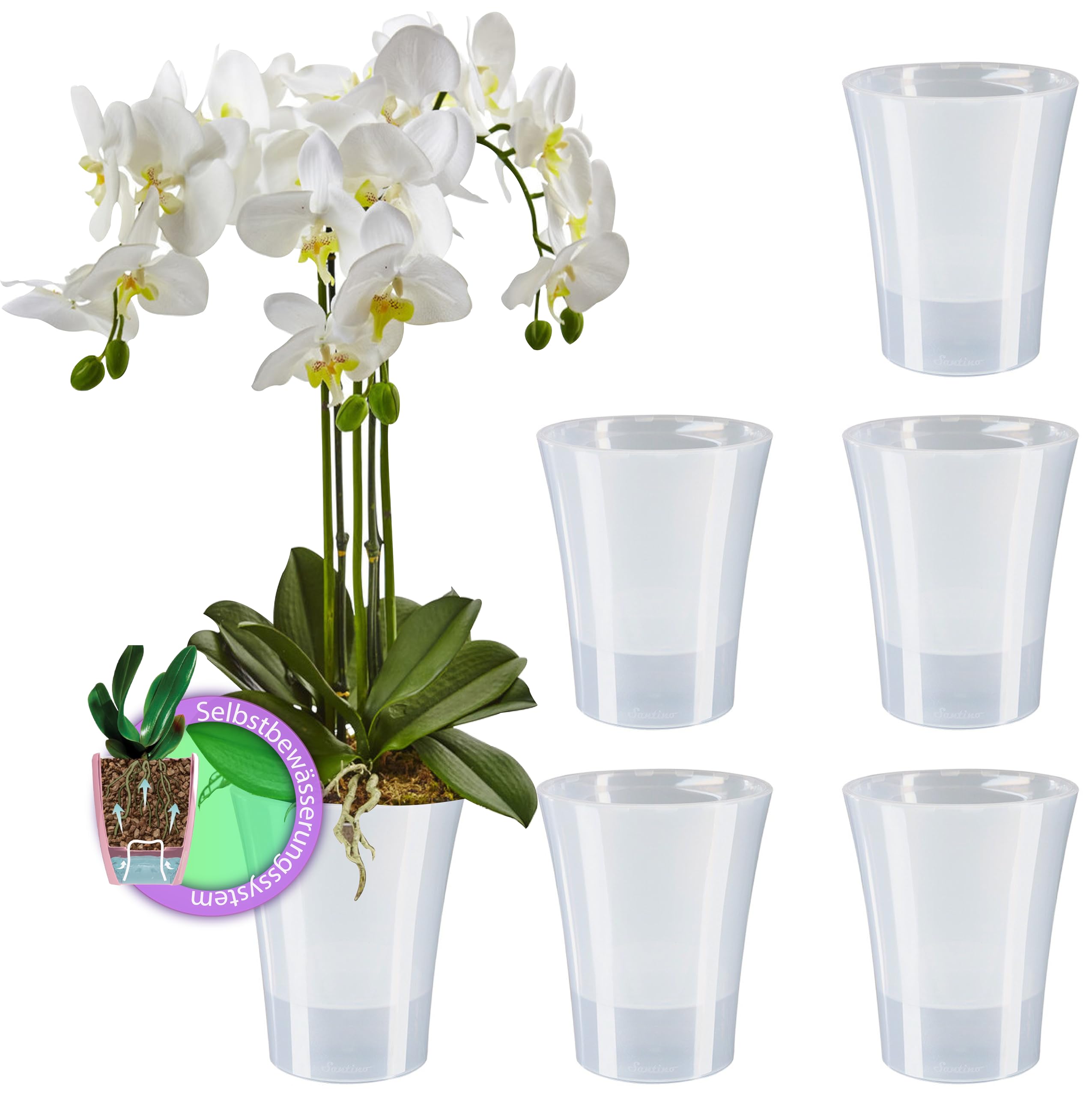 Cremefarbener Orchideentopf Mit Ablaufloch – Robuster Übertopf Für Drinnen & Draußen, 17,8 Cm