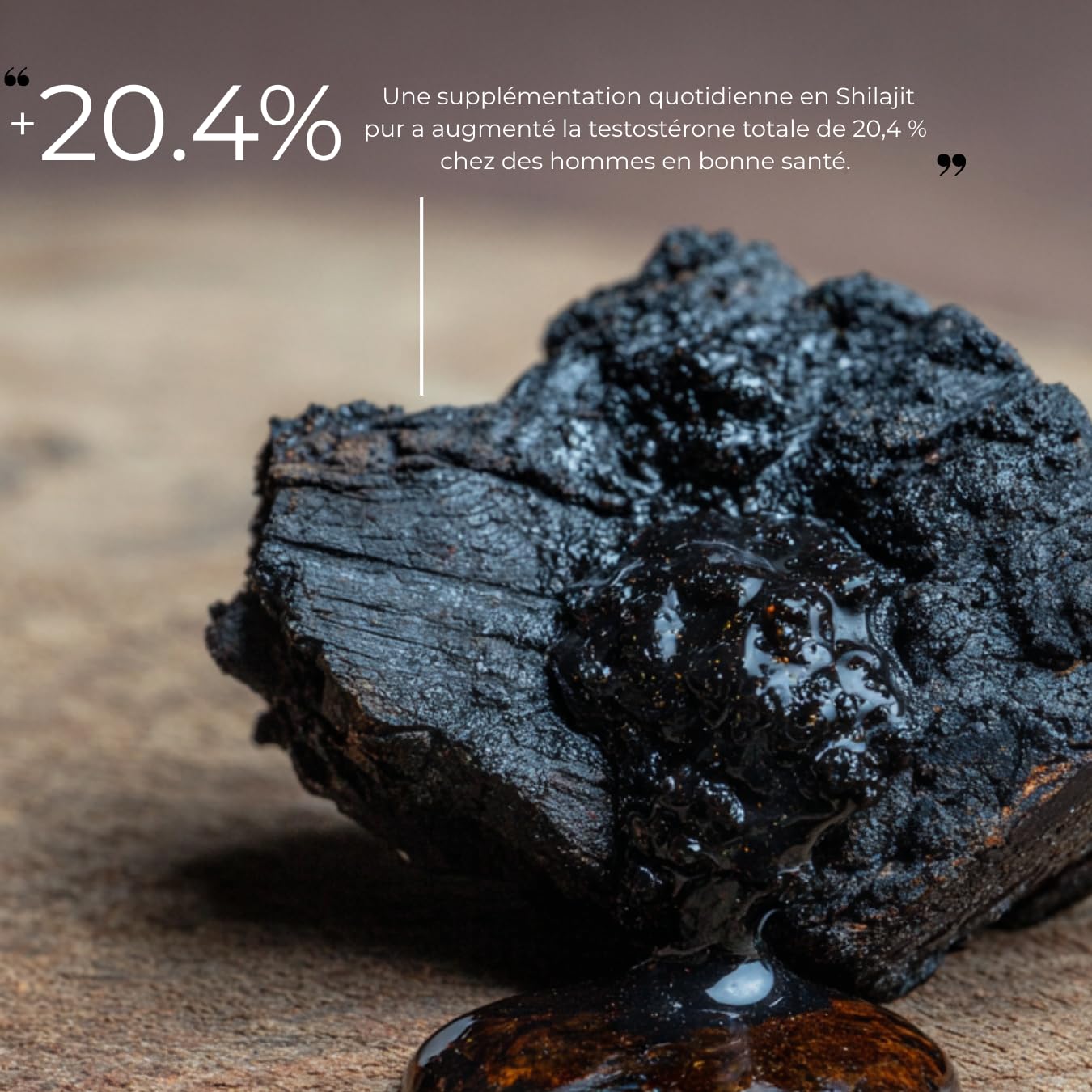Resina di Shilajit dell’Himalaya – L’unico vero Shilajit in Italia
