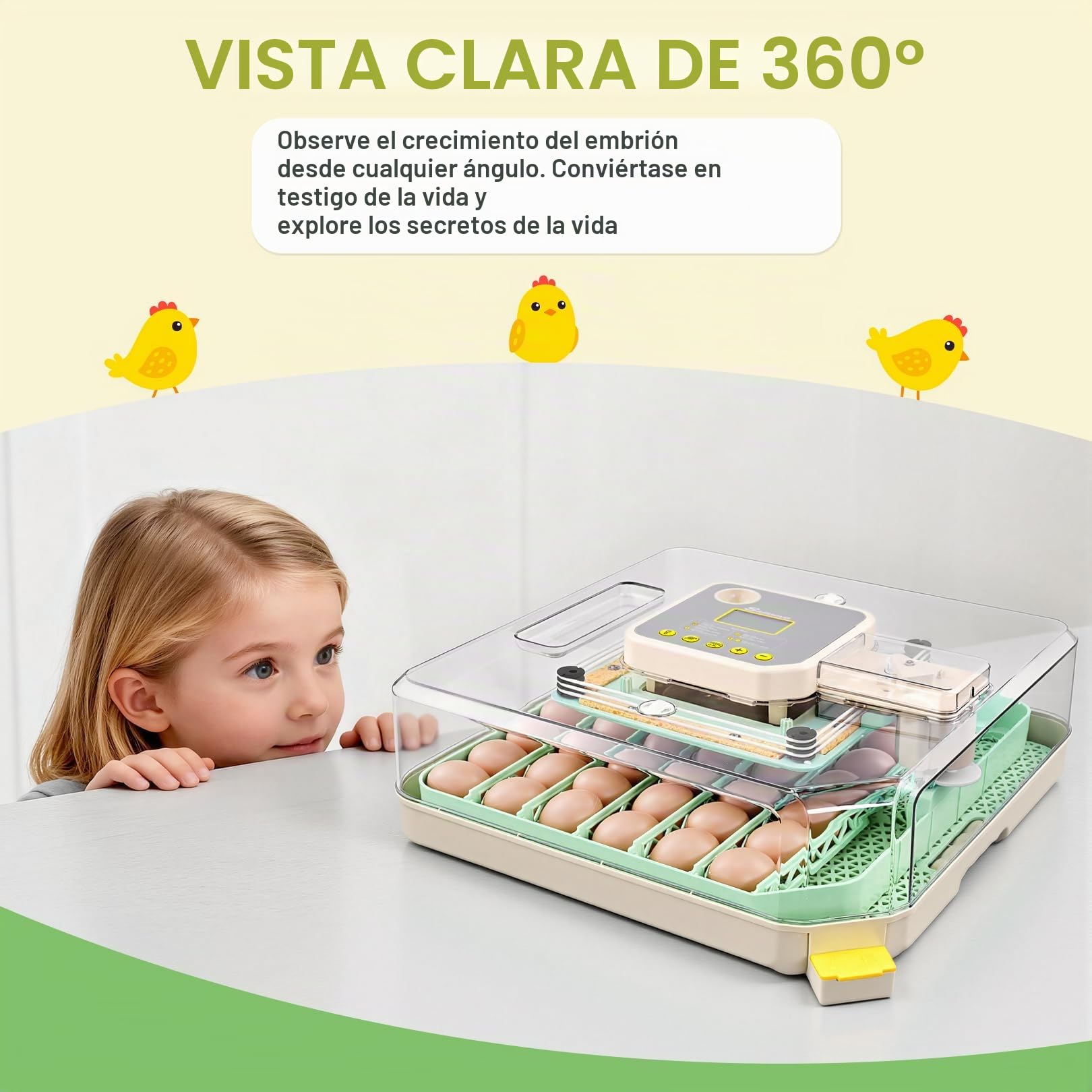 Sailnovo Incubadora de Huevos Automática 48 Huevos con Control Preciso Temperatura/Humedad, Volteador Automático de Huevos, Vista 360°, Ovoscopio Para Huevos, Para Gallina/Pato/Codorniz,Verde