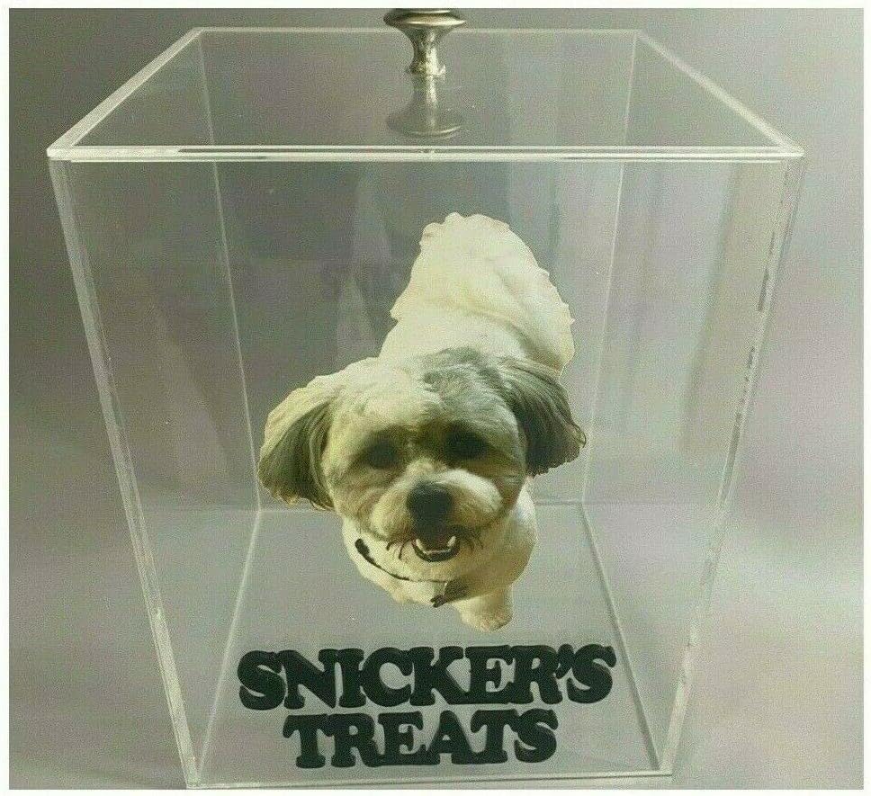 Large Custom Personalized Pet Cat & Dog Biscuit Food Bowls Perfect For Treats Storage Jar Engraved Free Standing 7"W x 8.5"H Acrylic Captivating Container With Your Dogs Photo Picture & Name On It!