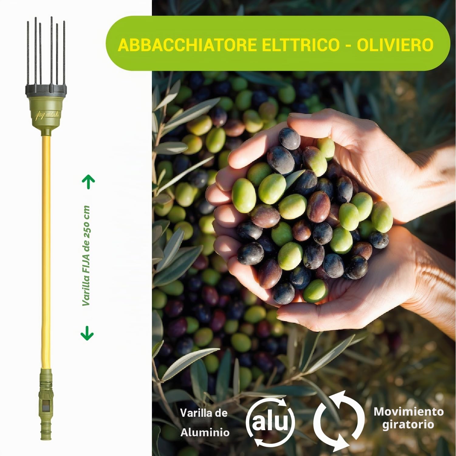 Crisalide® - Oliviero Synthesis - Vareador recogedor de aceitunas a batería de 12 V, barra fija de 2,5 m