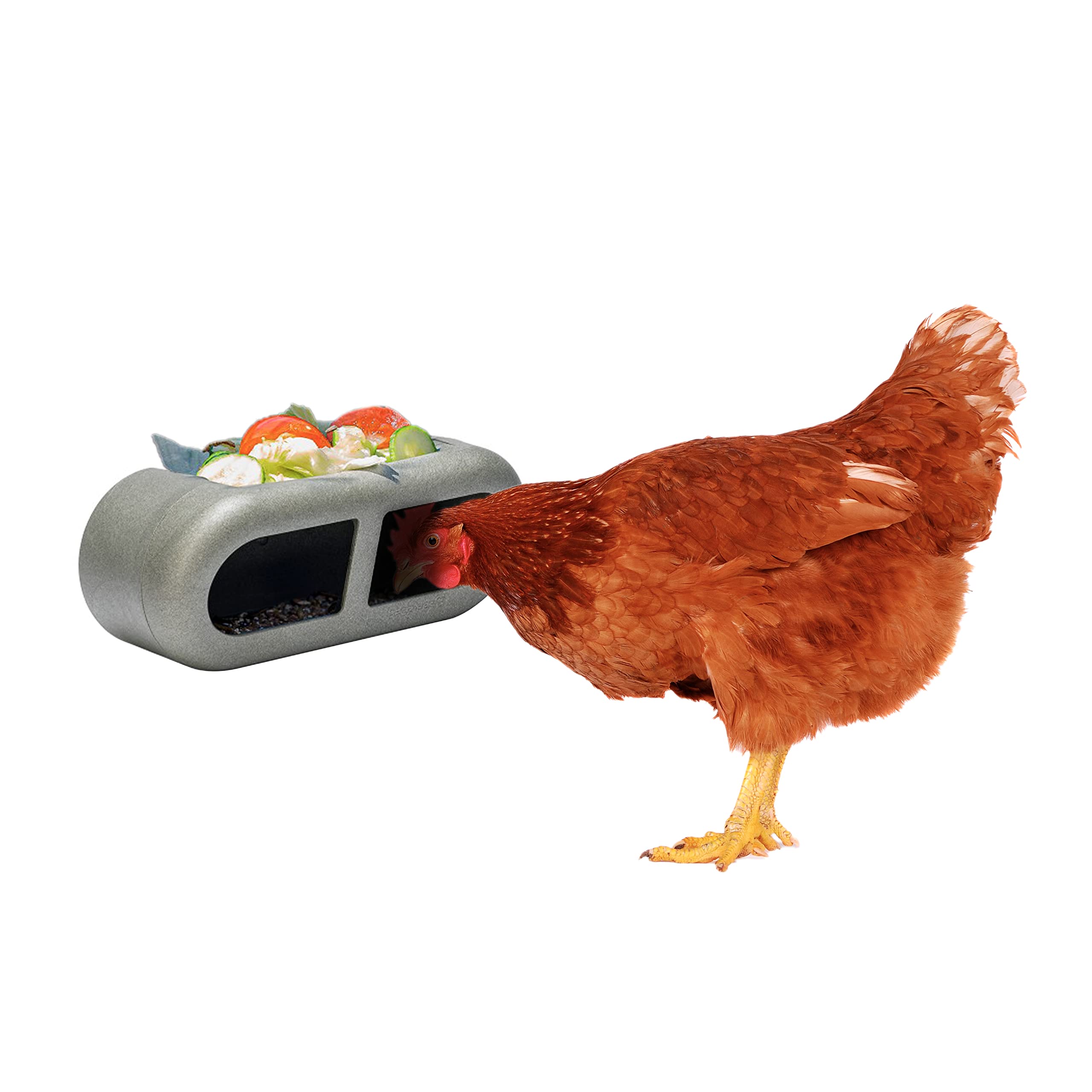 FINCA CASAREJO - Comedero para Gallinas Que se Cuelga Fácilmente en el Corral - Comedero Divertido y Funcional para Gallinas - Comedero en Plástico Reciclado - Feeder
