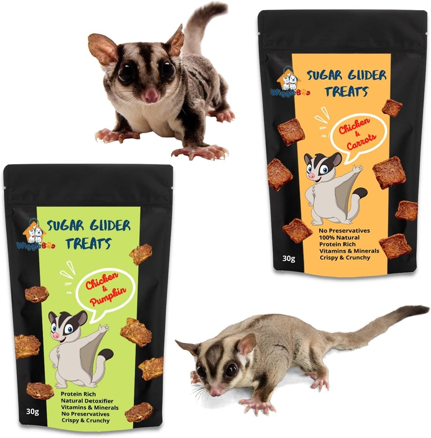 Sugar Glider Treats Combo | Chicken-Carrot + Chicken-Pumpkin | Crunchy Snack (30g + 30g)