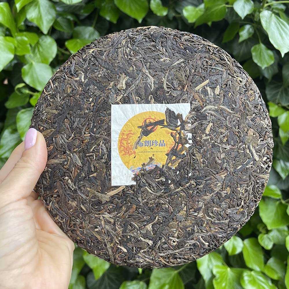 Tè Puer Sheng (crudo) Bulang Treasure • Raccolto del 2020 • Confezione da 357g • Tè cinese di qualità • TEA SOUL