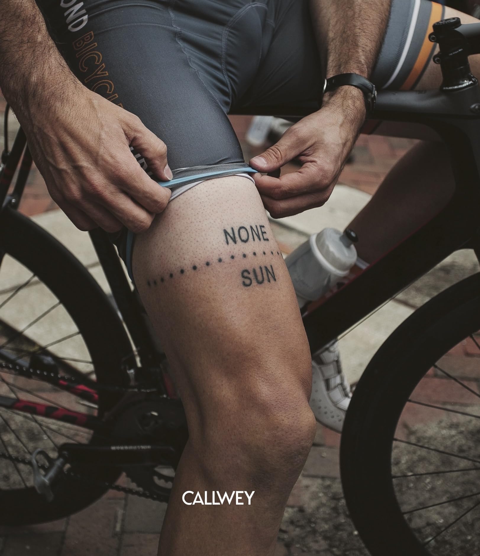Auf Asphalt: Passion Rennrad