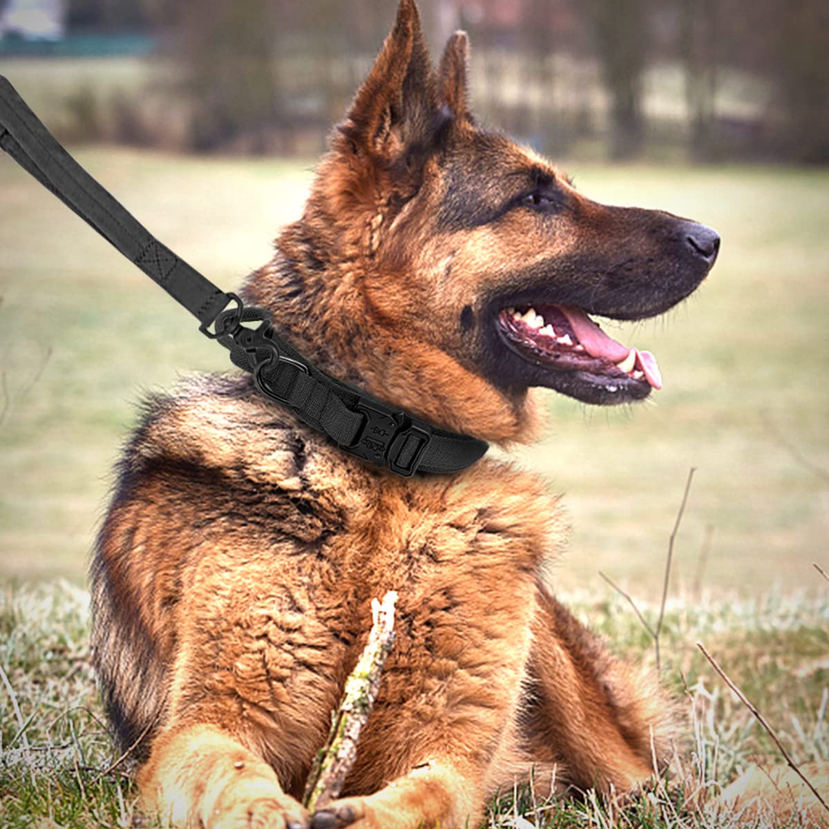 Juego de collar táctico y correa ajustable de nailon militar con mango de control, hebilla de metal resistente y correa elástica para entrenamiento de perros (XL, negro)