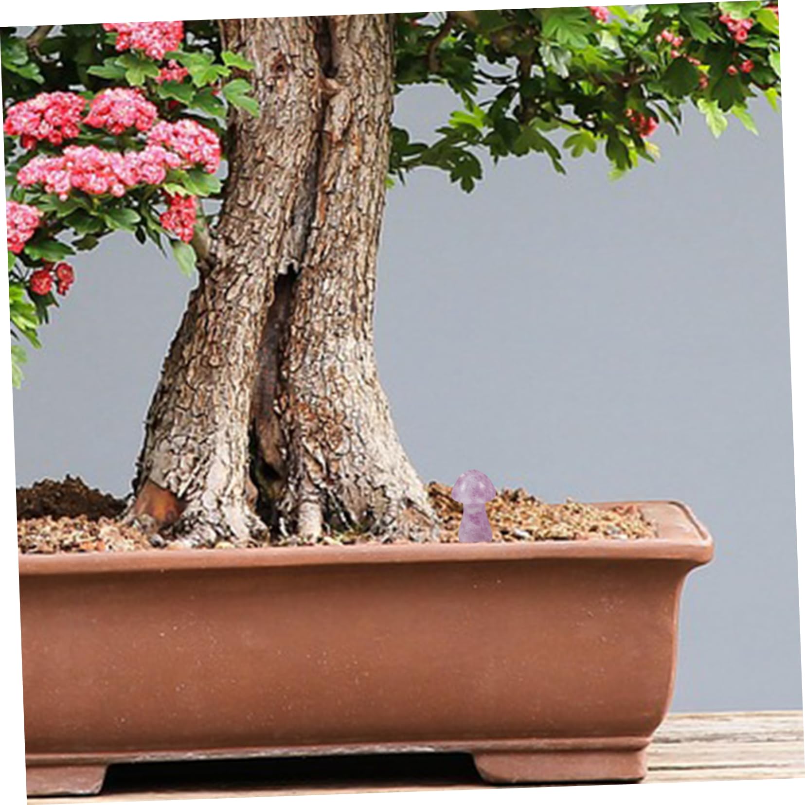 Amazon.co.jp: iplusmile 天然石 キノコ型石の装飾 屋外庭園用