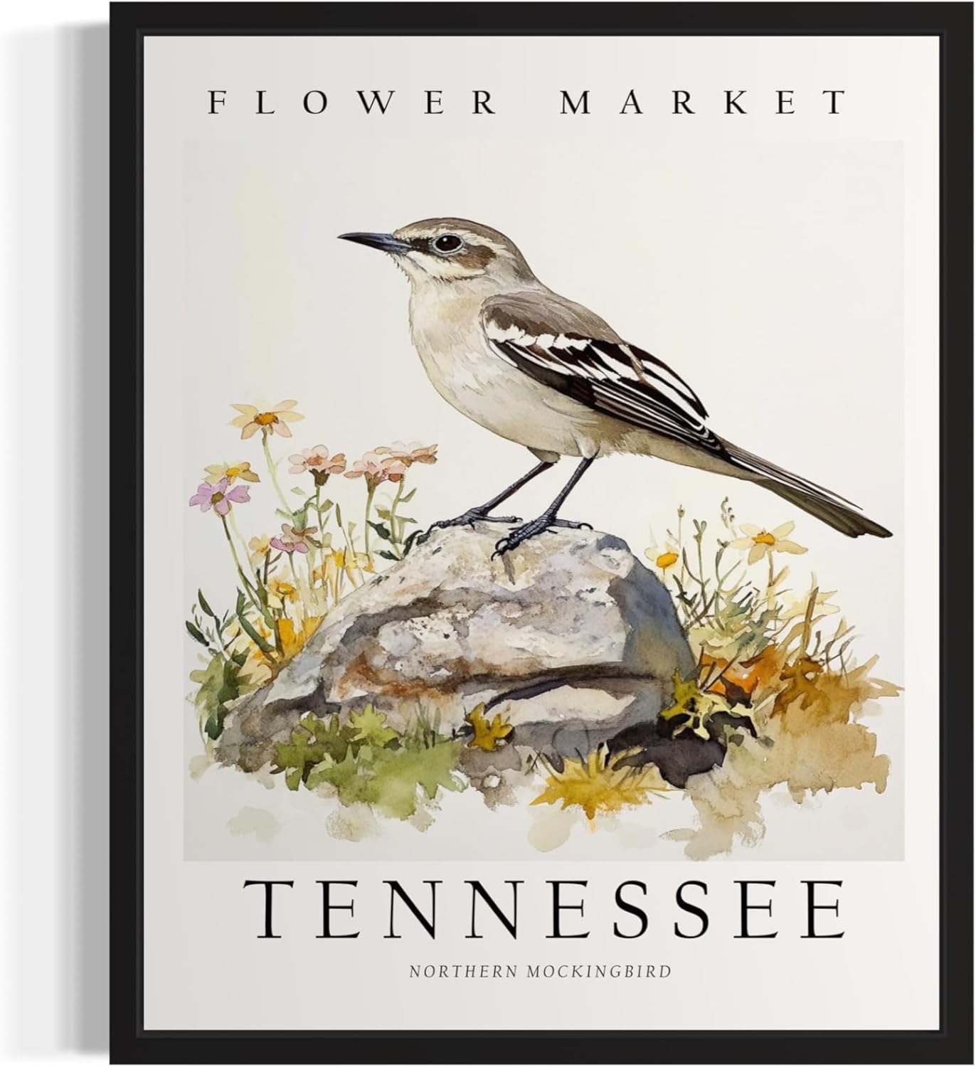 HomeArtPrint Tennessee Art Print Poster, State Bird Wall Art Wildlife Animal Botanical Decoration for Bedroom, Living Room Bathroom Decor 77 (Tennessee, 16 x 20 inches, Black Frame)
