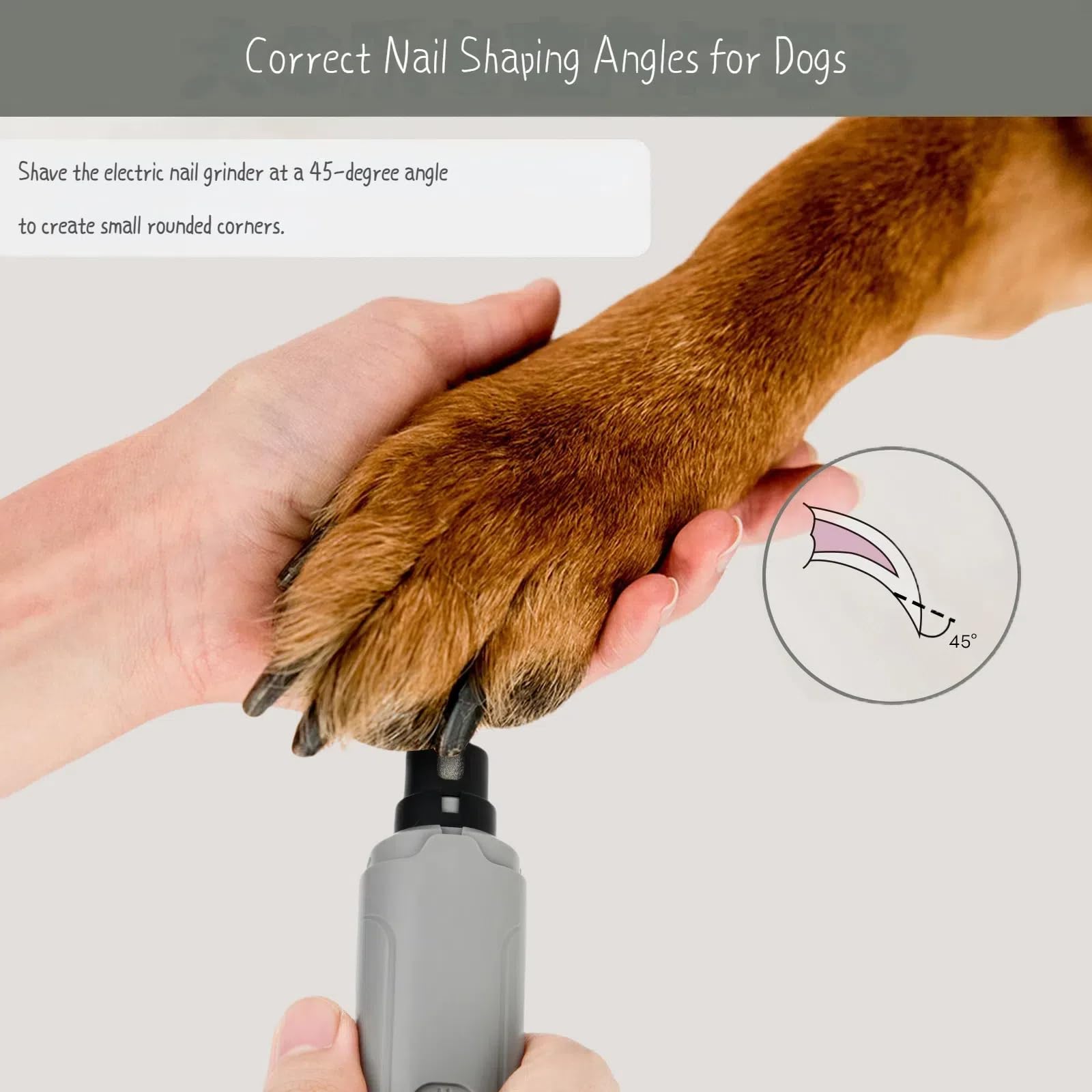 Qitiane Pet Nail Grinder with LED Light, 2 Speeds & Diamond Bit Grinder - Quiet Electric Dog Nail Trimmer for Small to Large Dogs, Cats, Puppies - USB Rechargeable File for Painless Paw Care at Home - image 3