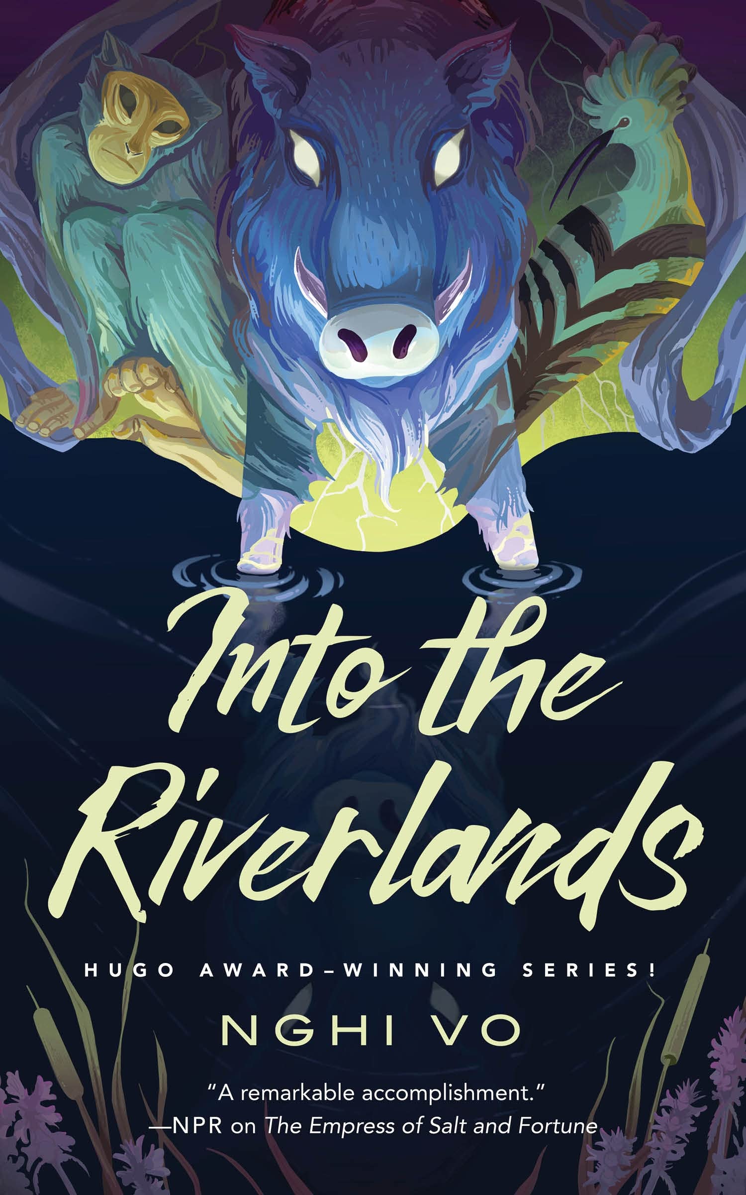 Buy Into the Riverlands: 3 (The Singing Hills Cycle, 3) — BookShops.in