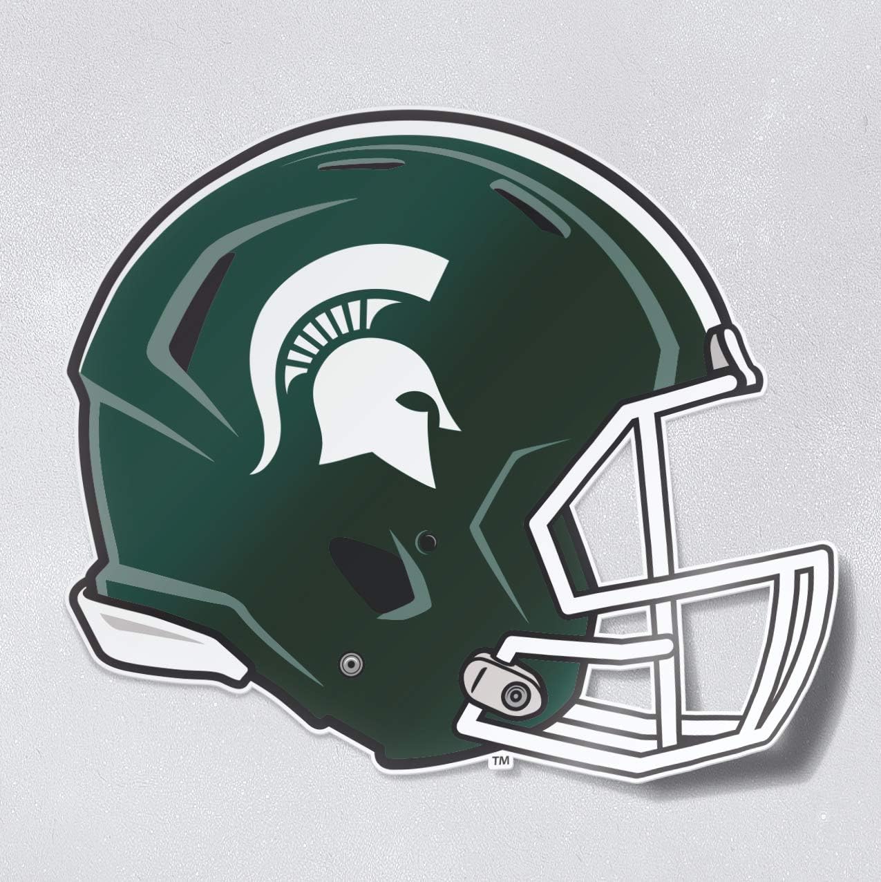 Michigan State University Spartans MSU 