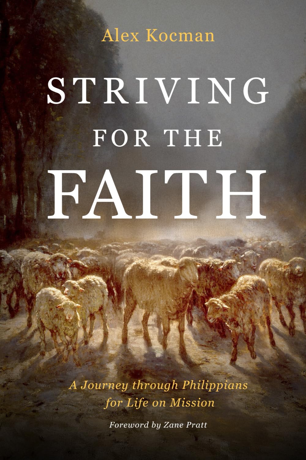 Striving for the Faith: A Journey through Philippians for Life on Mission