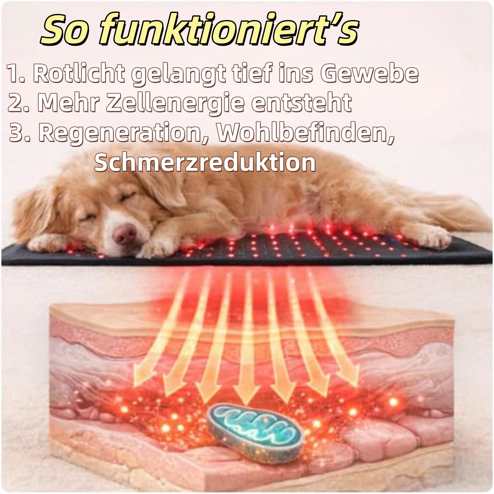 Rotlicht-Therapiematte für Hunde und Katzen, 660nm & 840nm Infrarotrotlichttherapie, Schmerz- & Gelenkunterstützung, Sichere Wärmetherapie, Einfache Anwendung zu Hause