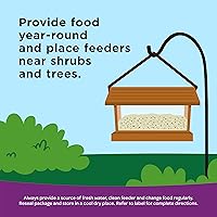 Vista 7 de Kaytee Nut & Fruit - Semilla de ave silvestre, 5 lb