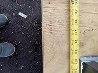 Review Image by frank frank