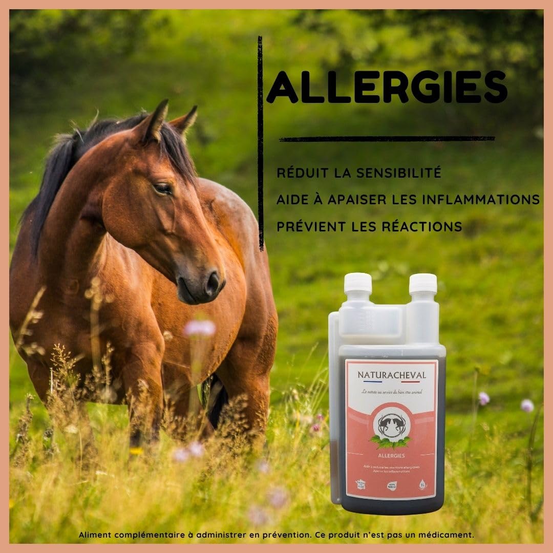 Allergie Cheval & dermite – Complément Naturel Anti démangeaisons – Apaise irritations & réactions cutanées – Soutien immunitaire – Formule Plantes