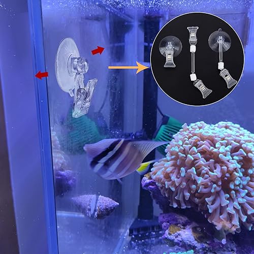 Miniatura 5 de SUPERFINDINGS 2 clips de algas marinas, clip para alimentador de verduras con 4 ventosas para plantas con clip para soporte de alimentación para