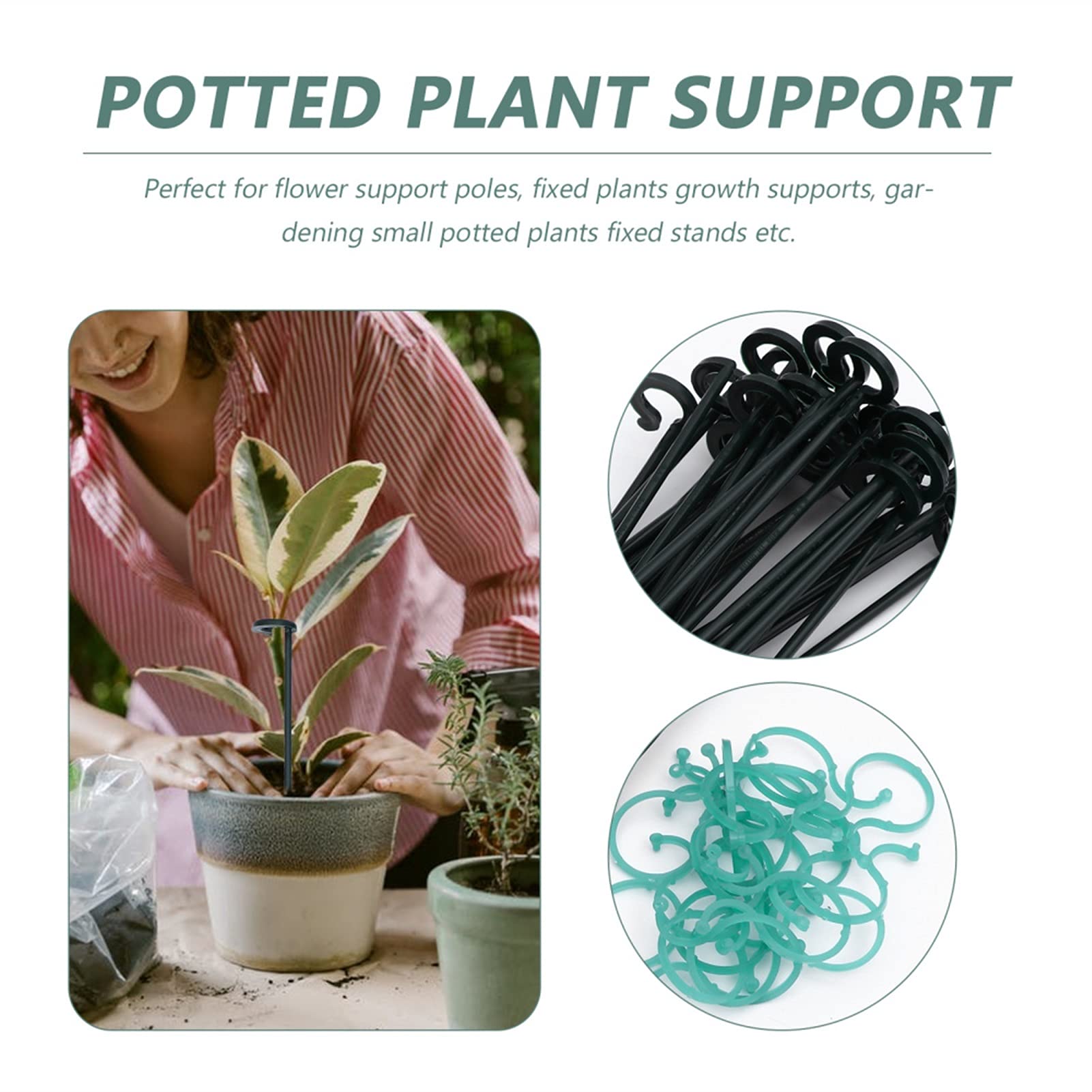 Saturey Tuteur Plante 1 Ensemble de tiges de Fixation de Plantes en Pot de Fleurs Polonais Bonsaï Support (Vert) Support pour Plantes De Jardin