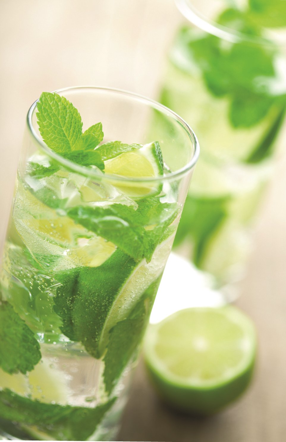 Torani Mojito Mint Syrup, 750 ml Bottle